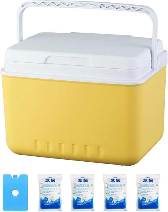 6L Small Cool Box - Cool Box for Outdoor Camping - With 4 Ice Packs and 1 Ice Crystal Box Suitable for Preserving Food Cooling Drinks for On the Go Picnic and Camping