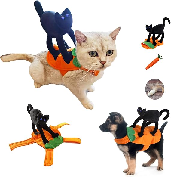 Jomago Halloween Pet Costumes Black Cat Riding Costume for Small Dogs Puppy Kitten Party Adjustable Apparel
