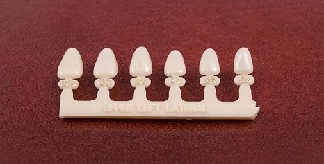 #10 Upper Left Lateral Anterior (ULL) Polycarbonate Temp Caps Refills 6 Sizes
