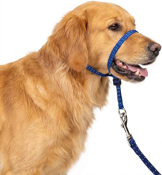 Headcollar for Dogs, Extra Soft Padded, Reflective, No Pull Dog Collar, Gentle Leader for Dogs with Durable Nylon Leash, Padded Handle - Navy Blue (Large)