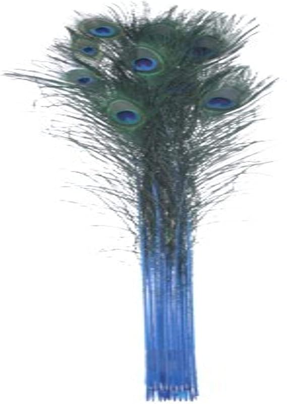 Zucker Feather (TM) - Peacock Feather Eyes Stem Dyed - Dark Turquoise