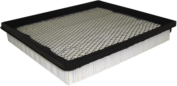 ACDelco GM Original Equipment A3128C (55560894) Air Filter