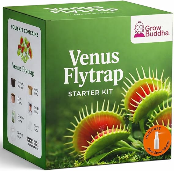 Grow Your Own Venus Fly Trap Kit – Easily Grow Your Own Carnivorous Plant with Our Complete Beginner Friendly Seeds Starter Kit – Unique Gift Idea - Venus Flytrap Plant