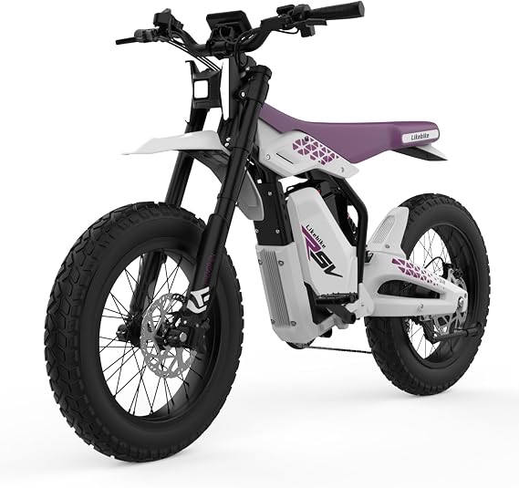 Electric Dirt Bike for Adults, 3000W Peak 60V 27AH Removable Battery Ebike