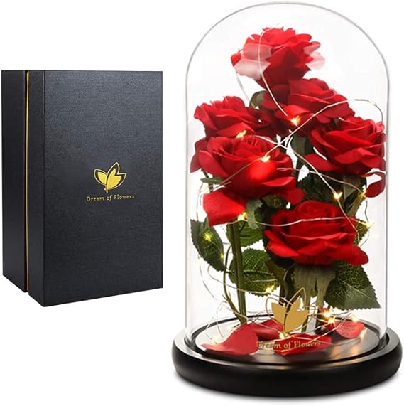 Mothers Day Rose Gifts for Women,Beauty and Beast Rose in Glass Dome with LED Light,Glass Rose Flower Gifts for Family Valentines Birthday Gifts for Women Mom Wife Girlfriend Friend Forever Red Rose