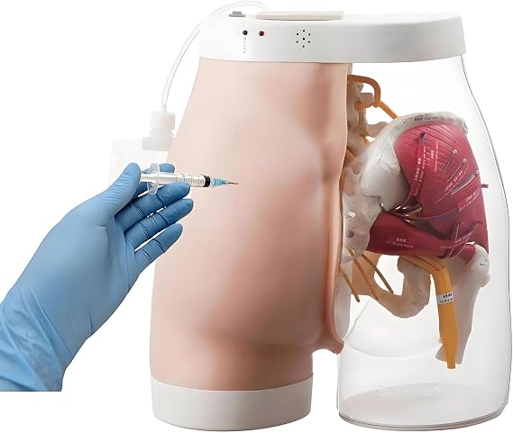 Half Transparent Buttock Injection Training Simulator Realistic Hip Injection Practice Model for Medical Students Nursing Training