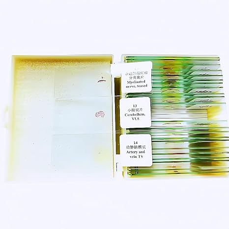 25pcs/Set Basic Histology Slide Set Education Slides Histological Microscope Slides
