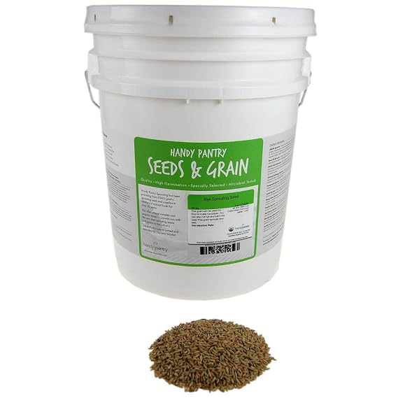 Handy Pantry 35 Lb Bulk Organic Rye Grain Seeds - Sprouting Rye Berries