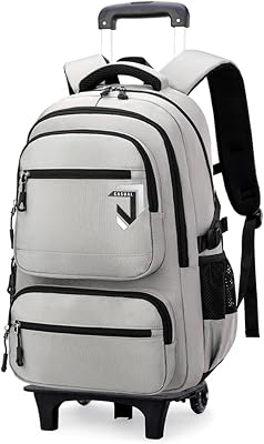 Boys Rolling Backpack, Kids Bookbag with Wheels,Kids Luggage on Wheels,Elementary School Trolley Back Pack