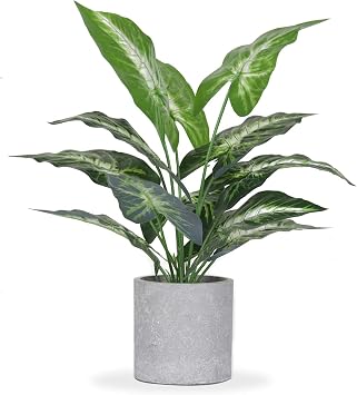 Der Rose JC nateva 16" Small Fake Plants Artificial Tropical Faux Plants Indoor for Office Desk Shelf Bathroom Home Decor