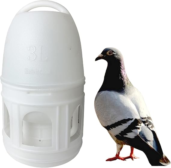 SRRPS Bird Water Drinker Pigeon Water Dispenser Drinker 3L Quail Water Automatic Feeders Water Dispenser Dove Drinker