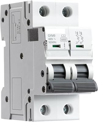 Circuit Breaker Gym9 2 Pole MCB Circuit Breaker 23 0V 6a-63a AC Typ Color : 40a, Size : 2 Pole C Curve
