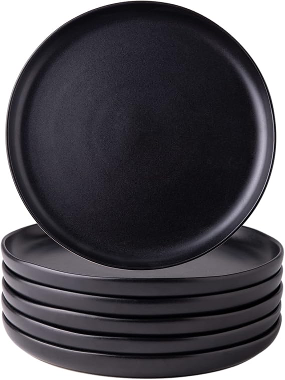 AmorArc Ceramic Dinner Plates Set of 6, 10.25 Inch Stoneware Dishes Set