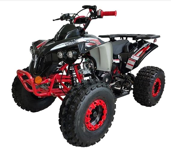 HHH 125cc ATV Quad Youth Utility Style ATV 125cc Fully Automatic with Reverse Gas ATV 4 Wheeler Outlander ATV Quads Big 19/18 inch Tires (Black)