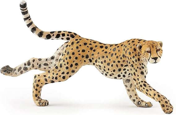 Papo - Realistic Running Cheetah Figure Toy for Kids - Ages 3+ Wild Life Collection - Educational Play Animal Speed - Gift Idea Toy for Girls and Boys - 4.9 in
