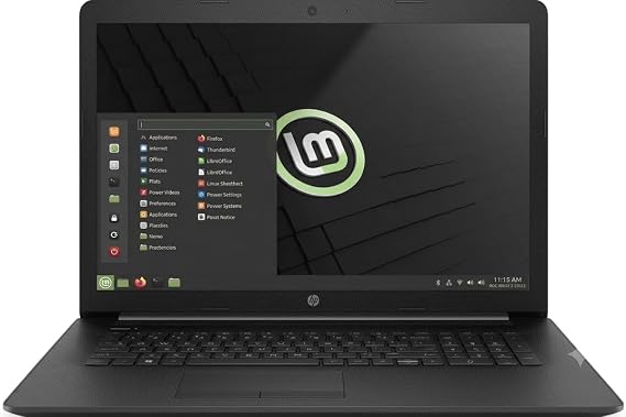 HP 17 Business Laptop - Linux Mint Cinnamon - Intel Quad-Core i5-10210U, 32GB RAM, 1TB PCIe NVMe SSD + 1TB Storage HDD, 17.3" Inch HD+ (1600x900) Display