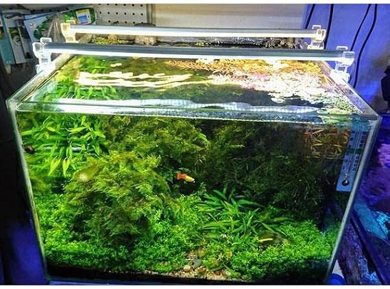 OrionLed Akvaryum Led Aydınlatma Beyaz 50Cm 6500K