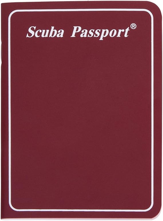 Passport Log Book (40 Pages, 30 Logs)