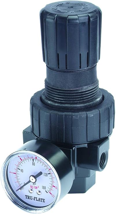 Tru-Flate 24-404 Compact Regulator