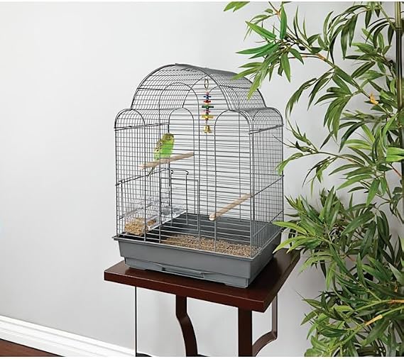You & Me by Petco Parakeet Scallop Top Cage