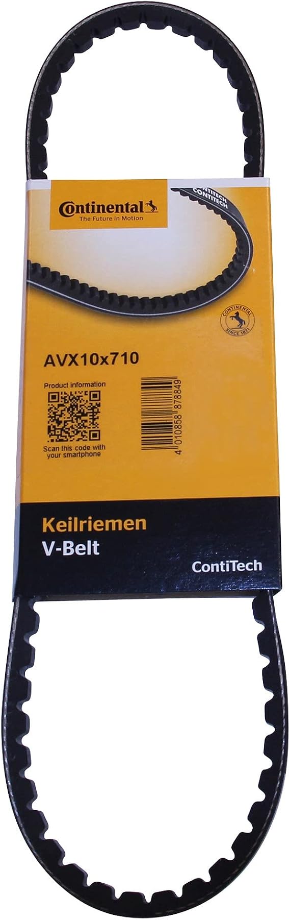 Continental 10X710 Metric V-Belt