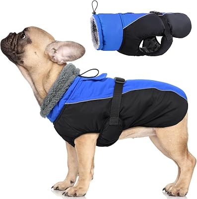IDOMIK Dog Winter Coat, Reflective Waterproof Dog Jacket for Cold Weather, Warm Pet Coats for Small Medium Large Dogs, High Collar Doggy Fleece Snow Jacket, Winter Vest with Adjustable Buckle,S