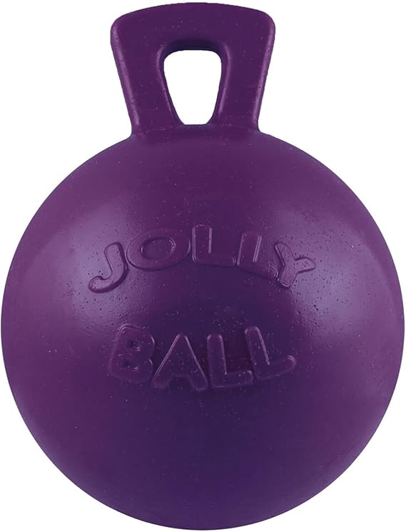 Tug-N-Toss Ball Color: Purple, Size: 8" H x 6" W x 6" D