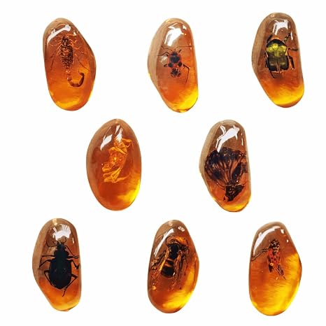 8pcs Amber Fossils with Insects Samples Stones Crystal Samples for Home Decorations Collections Oval Pendants Pendant Science Educational (1 Pcs)