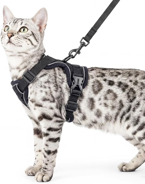 Cat Harness and Leash Set, Escape Proof Cat Vest, Black, S