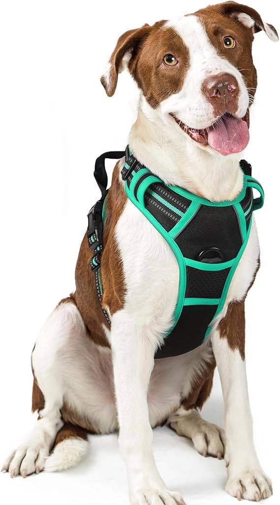 rabbitgoo Dog Harness, No Pull for Large Dogs with 2 Leash Clips, Pet Vest | No Choke with Handle, Adjustable Soft Padded, Reflective, Easy Control for Walking, Black & Turquoise, Large