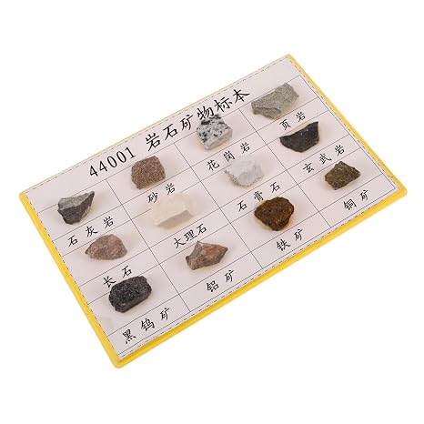 12pcs Rock Collection Kit Mineral Rock Specimens Field Test Educational