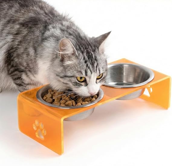 GOBYPET Çift Hazneli Pleksi Kedi ve Köpek Mama Kabı, Yükseltilmiş Seramik Mama ve Su Kabı, Ergonomik Tasarım, Kolay Temizlenebilir (Metal, Turuncu Pleksi)