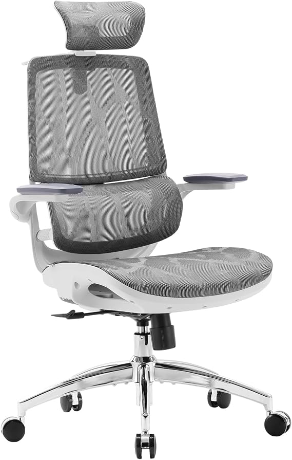 SIHOO M59AS Ergonomic Office Chair with 3D Coordinating Folding Armrests Double Seat Back Design and Adaptive Lumbar Support Mesh Desk Chair for Home Office (White)