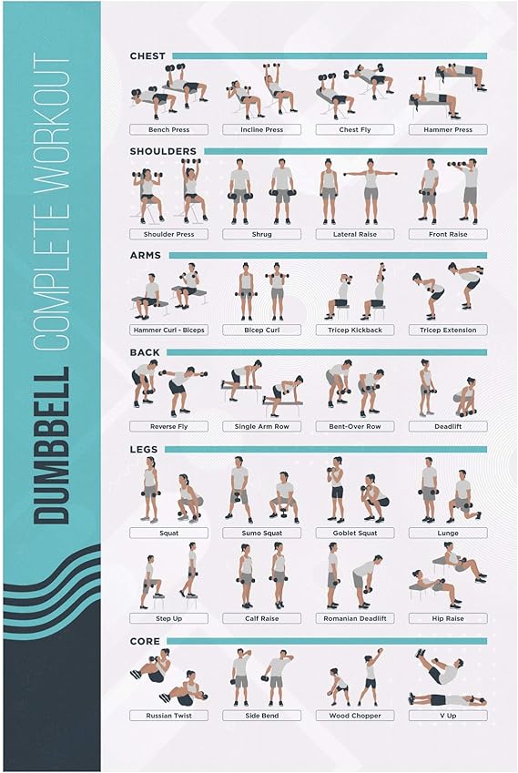 FitMate Dumbbell Workout Exercise Poster - Workout Routine with Free Weights, Home Gym Decor, Room Guide (42 x 63 cm) | Free Weight Routine Guide, Home Gym Decor