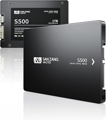 SAN ZANG MASTER 2.5 SATA SSD 256GB, SATA III 6Gbs, Read Speed 480MBs, Internal Solid State Drive 3D NAND Flash, Upgrade PC or Laptop NAS DIY Memory and Storage, S500