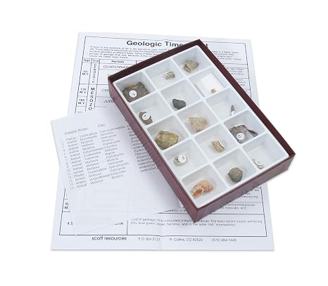 American Educational 15 Piece Specimen Mesozoic Fossils Collection