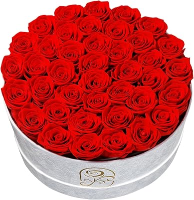 Gifts for Women Preserved Roses Flower Box, Luxury Velvet Box with 40 Roses, Preserved Flowers, Romantic Gift for Her, Wife, Girlfriend, Birthday Anniversary Christmas Red