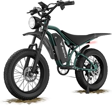 BIGNIU BG-S Electric Bike for Adults 20"x4.5" Fat Tire, 1200W Motor, 48V 15Ah Battery, 7-Speed, Dual Disc Brakes for Off-Road and City Riding