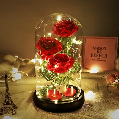 Valentines Day Gifts, Beauty and The Beast Rose,Preserved Flowers Gifts,Light Up Rose Flower in Glass Dome,Birthday Gifts for Women,Mom,Girlfriend Wife Anniversary,Valentines,Thanksgiving,Wedding