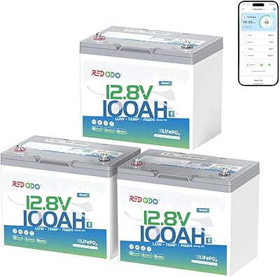 Redodo 12V 100Ah LiFePO4 Battery Bluetooth, Low-Temp Protection BCI Group 24 Lithium Battery for Trolling Motor, Bulit-in 100A Smart BMS, Perfect for Marine, Boat, RV, Solar and Off Grid - 3 Pack