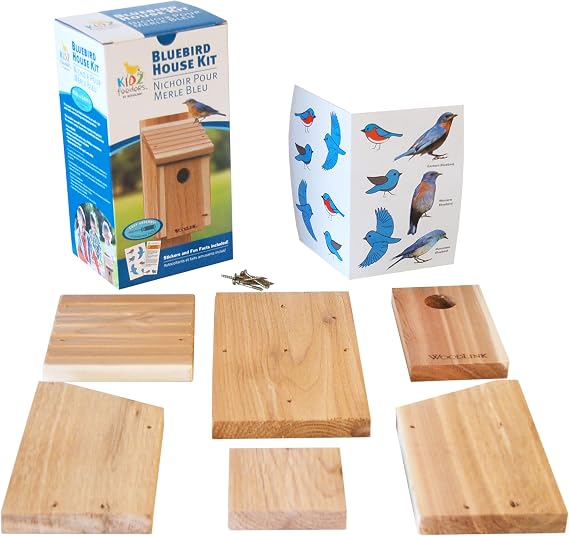 Panacea 28701 29000 Bird House, Brown