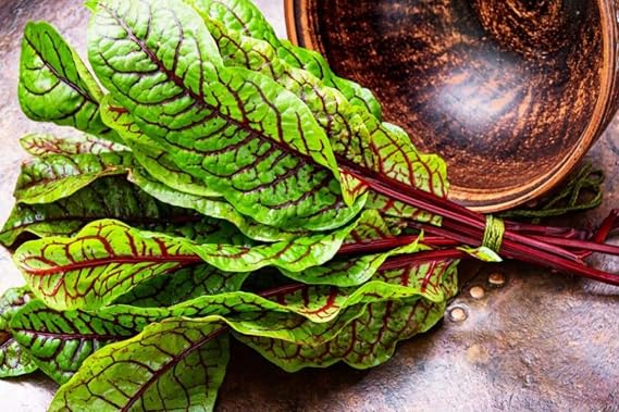 100+ Seeds Indoor Sorrel Bloody Dock - Vegetable Red Veined