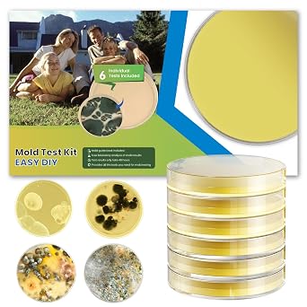 Mold Test Kit for Home - 6 Detection Tests,DIY Test Kit for Indoor Air and Household Surface Detection, Includes Detailed Mold Identification Guide and Free Lab Analysis