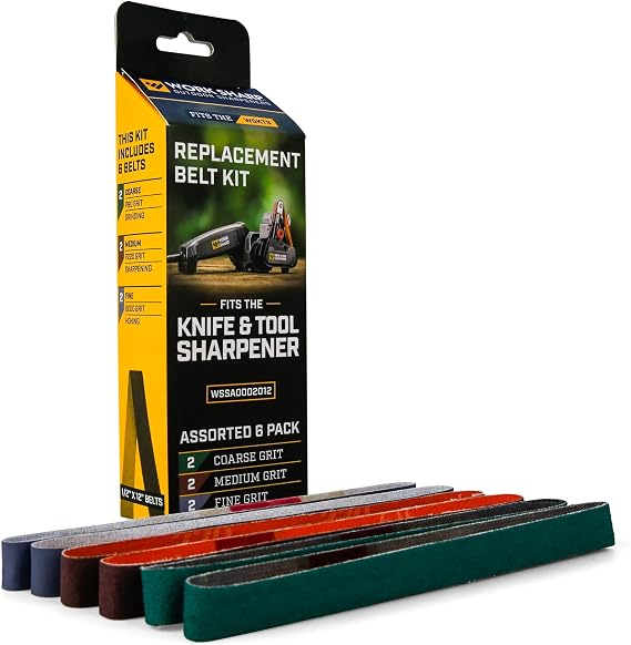Worksharp WS2012 Affûteur de couteaux et d'outils
