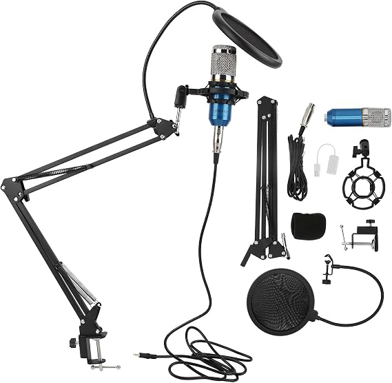 RiToEasysports Professional BM800 Condenser Mikrofon Kit with Flexible Arm for Studio Recording (Blue + Silver)