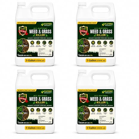 Natural Armor Weed and Grass Killer All-Natural Concentrated Formula. Contains No Glyphosate (1 Case of 4 Gallon Refills)