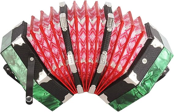 20-Key Concertina Accordion 40 Reeds Anglo Style With Carrying Bag
