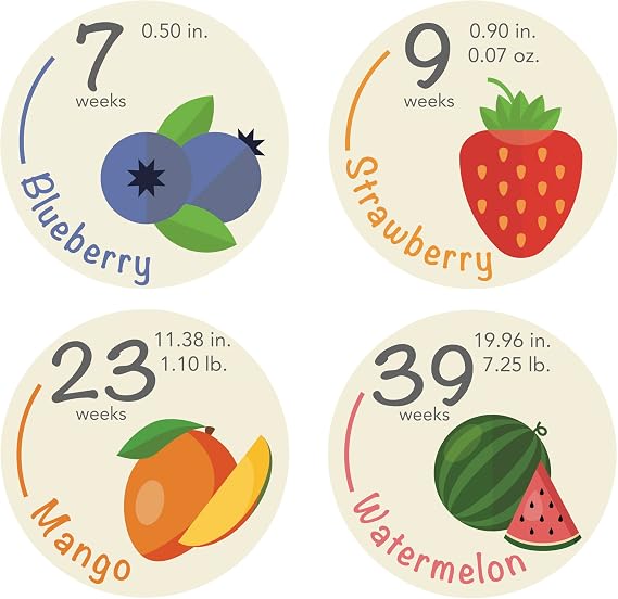 Bump Stickers - 40 Weekly Pregnancy Tracking Stickers Week 5 to 40