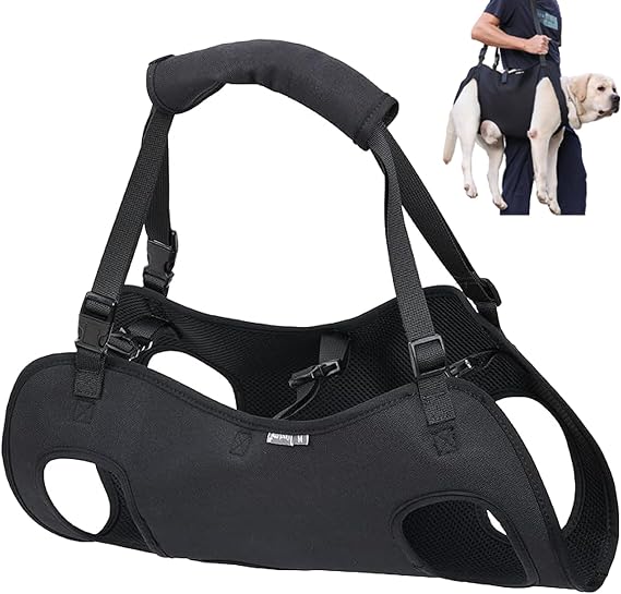 Dog Lift Harness, Emergency Backpack Pet Legs Support & Rehabilitation Sling Carrier, Adjustable Lifting Straps Carrier for Senior Elderly Dogs Joint Injuries Arthritis M