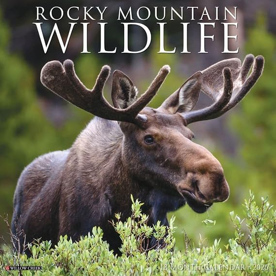 Willow Creek Press, Rocky Mountain Wildlife 2026 Wall Calendar